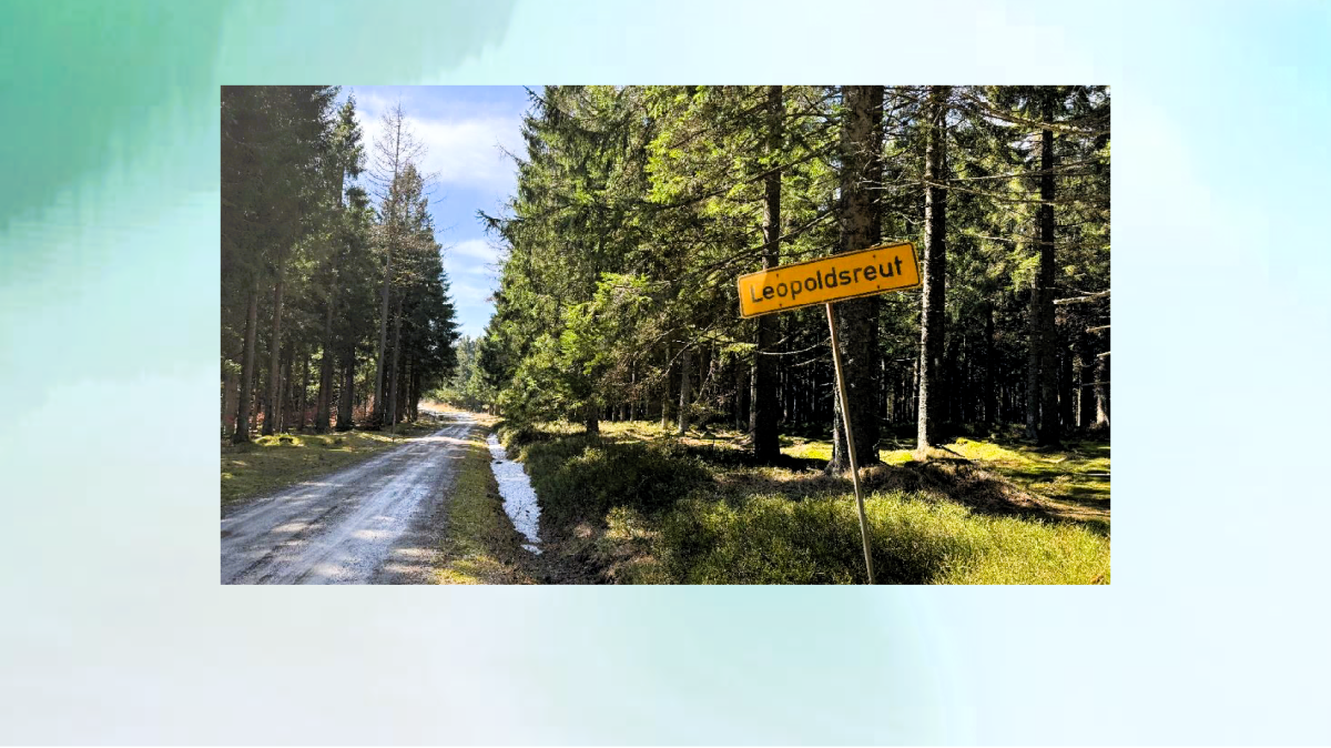 prednaska-patrick-reitinger_uvodni